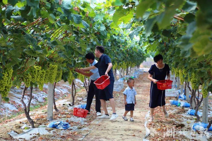 宝博体育官网登录